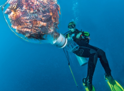 Diver with lionfish